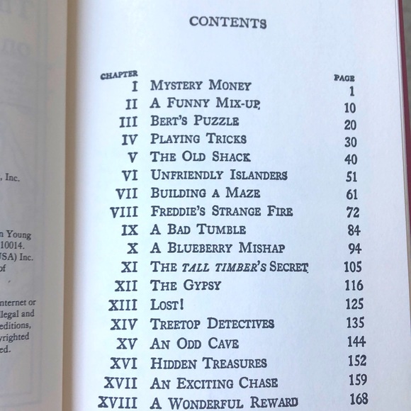 BOBBSEY TWINS #10 THE BOBBSEY TWINS ON BLUEBERRY ISLAND 🫐🏝️ by Laura Lee Hope - Picture 3 of 5
